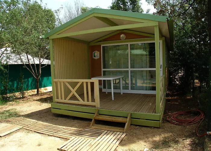 Campsite Lou